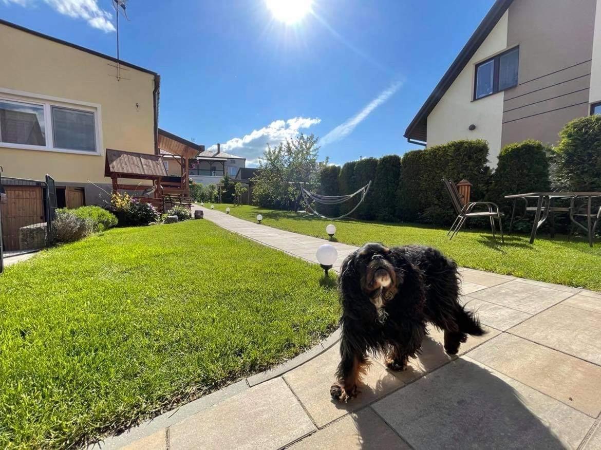 Apartament Cicho Sza Augustów Exteriör bild